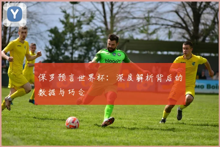 保罗预言世界杯:深度解析背后的数据与巧合