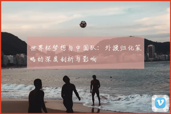 世界杯梦想与中国队:外援归化策略的深度剖析与影响