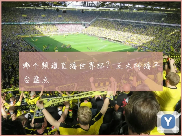 哪个频道直播世界杯？五大转播平台盘点