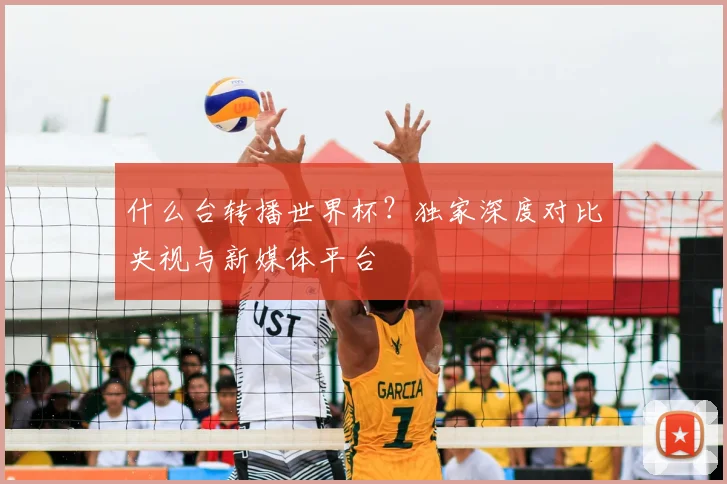 什么台转播世界杯?独家深度对比央视与新媒体平台