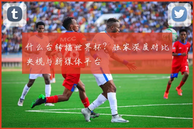 什么台转播世界杯?独家深度对比央视与新媒体平台