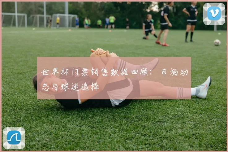 世界杯门票销售数据回顾：市场动态与球迷选择