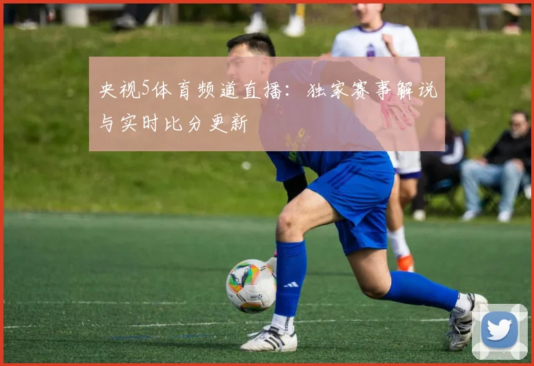 央视5体育频道直播：独家赛事解说与实时比分更新