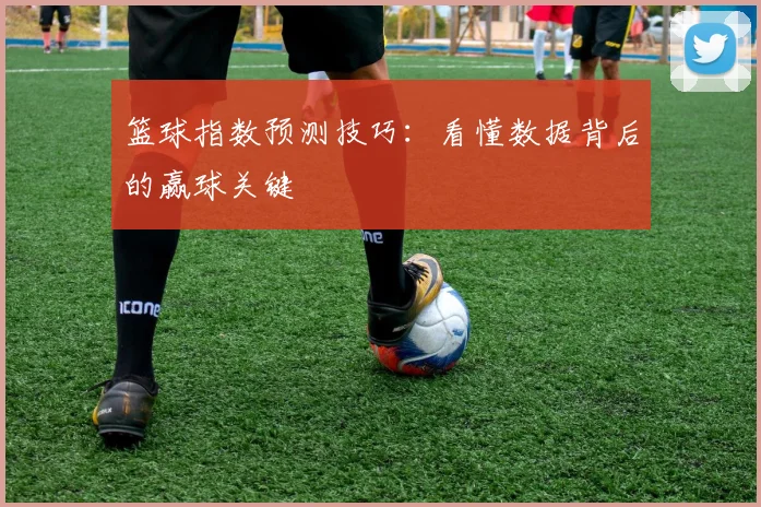 篮球指数预测技巧：看懂数据背后的赢球关键